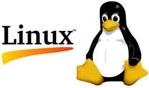 <p>Hosting på stærke Linux servere<br/>Ideelt hvis du kun benytter PHP</p>